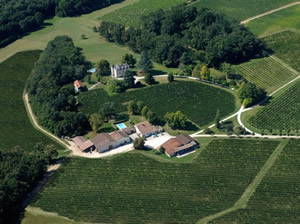 Bauduc Vineyard