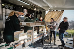 Bottling of 2018s