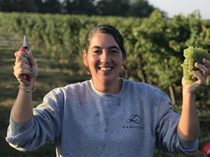 Harvest 2018 - Hand Picking Whites