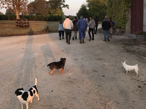 Harvest 2018 - Hand Picking Whites