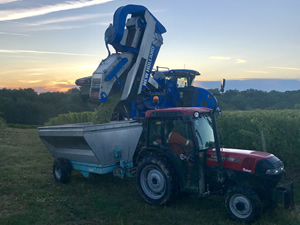 Harvest 2018 - Sauvignon Blanc 2018