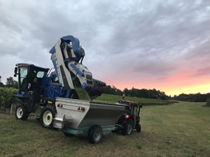 Harvest 2018 - Sauvignon Blanc 2018