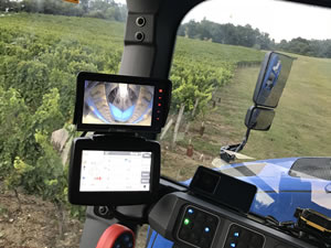 Harvest 2018 - Sauvignon Blanc 2018