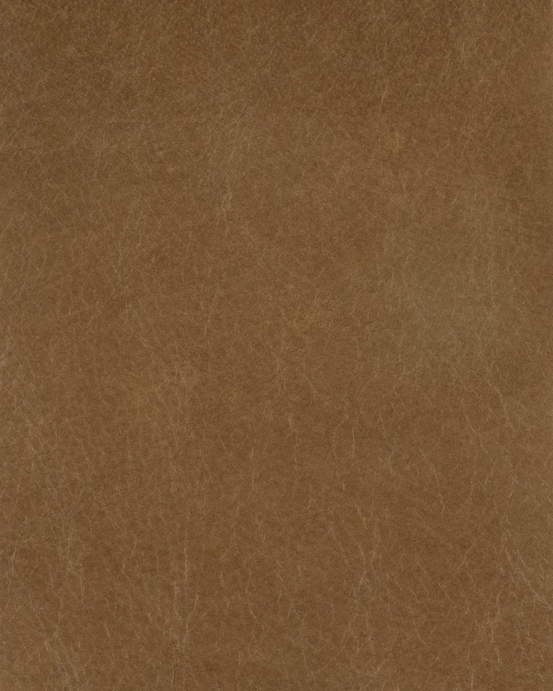 Leather Sample - Nutt Tan