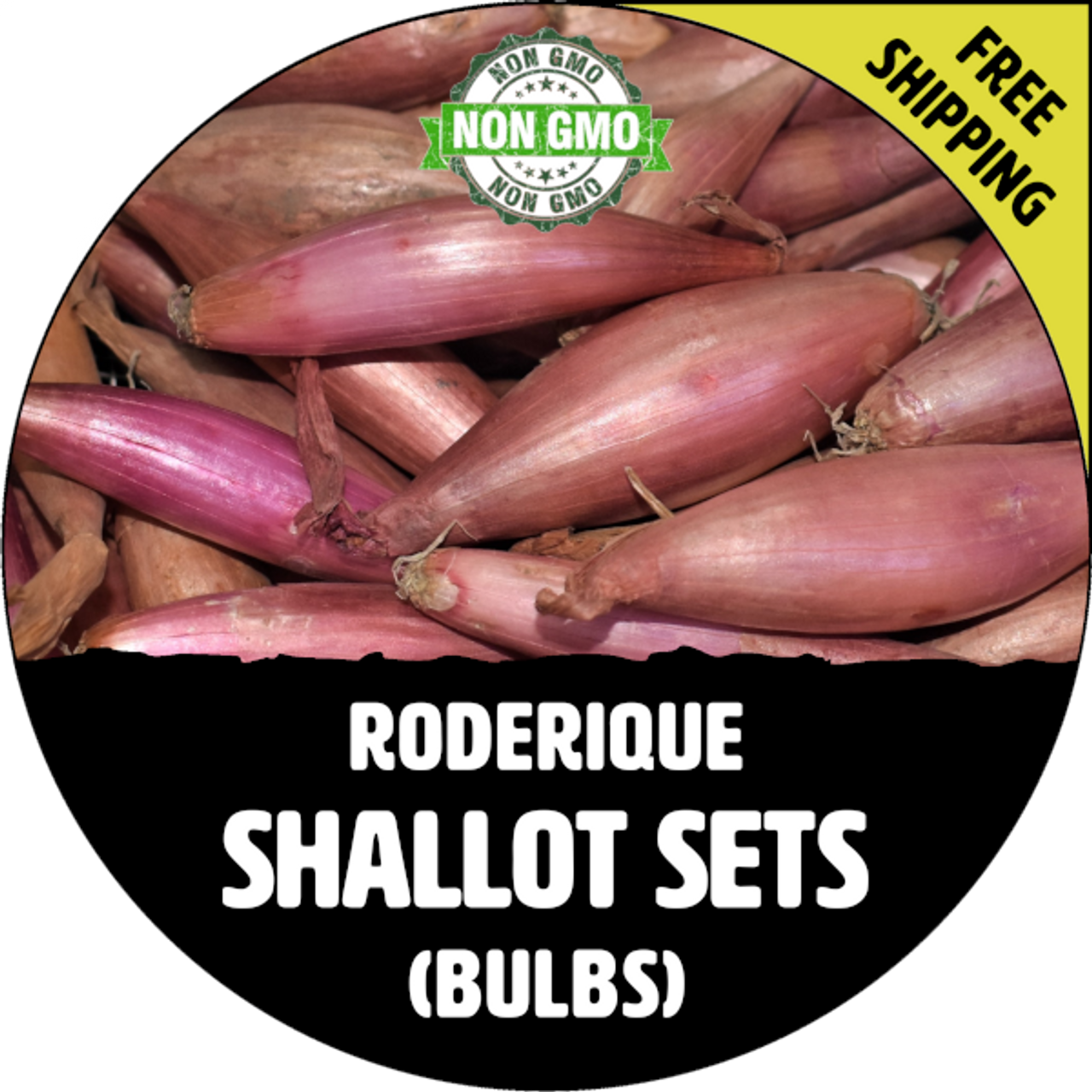 plant-shallots-fall-spring-seed-start