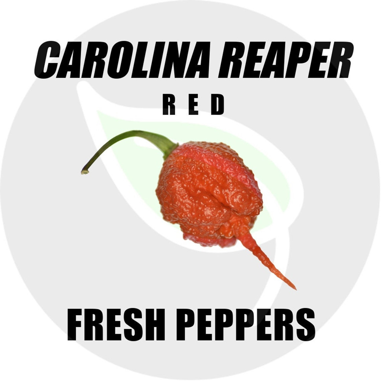 Organic Heirloom Gardens - CAROLINA REAPER PEPPERS (Red) - Fresh