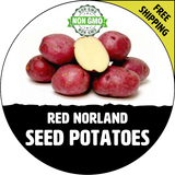 Red Norland Certified Non-Gmo Seed Potato - Lbs., Pounds - Heirloom Photo