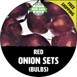 Spring & Fall Onion Bulb Sets (Red) - NON-GMO Seed Onions - Stock Photo