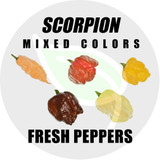 Mixed Scorpion Pepper - By Weight - Organically grown peppers, very big / large. 