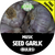 MUSIC GARLIC FOR SALE (HARDNECK PORCELAIN)   - NON-GMO Cloves, Bulbs For Seed - Stock Photo Bulk