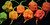 Red Carolina Reaper Pepper - By Weight - Organically grow peppers, very big / large. 