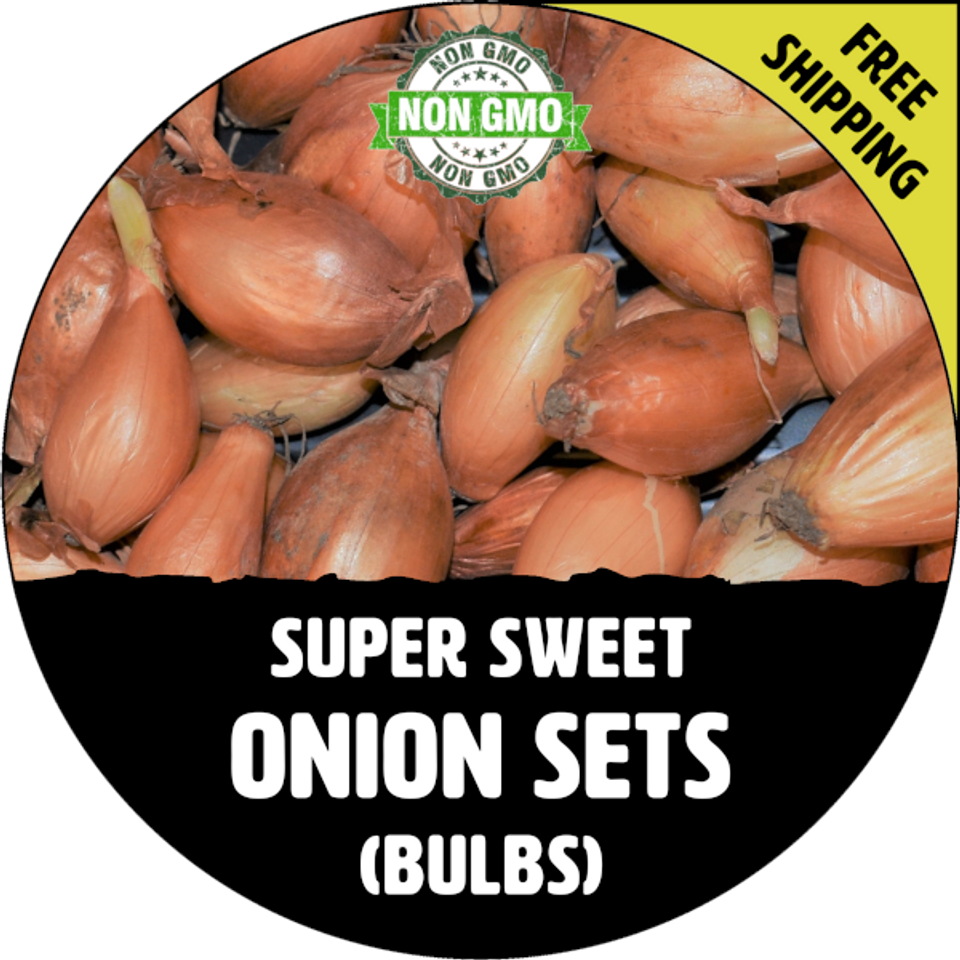 Garlic Onions & Shallots Onions Onion Bulbs (Sets) Organic