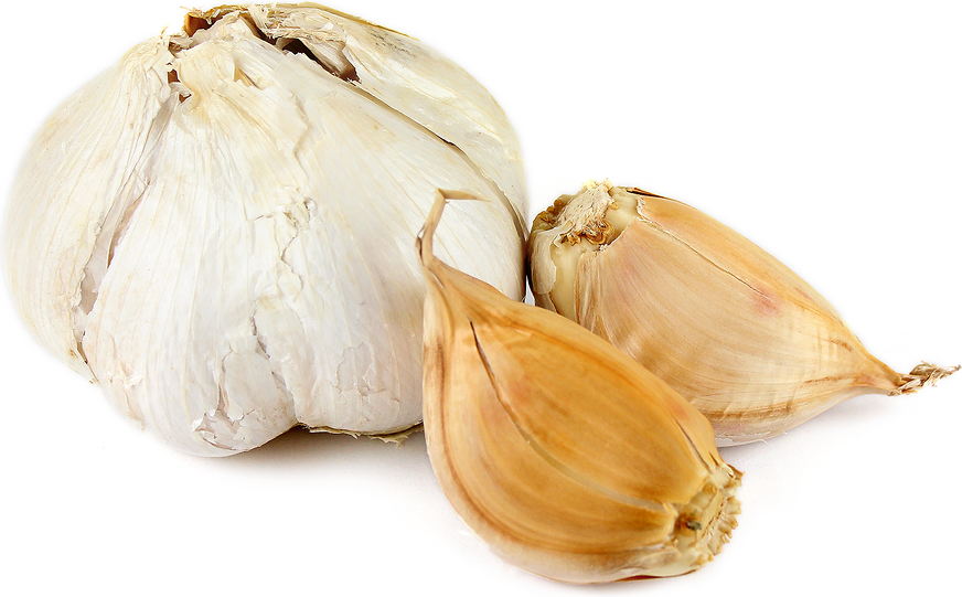 ELEPHANT GARLIC PLANTING GUIDE Organic Heirloom Gardens Organic