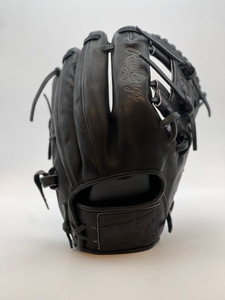 SHIPS TODAY: Game Prepped 2024 Rawlings Pro Label Elements Series "Carbon" 11.5" Baseball Glove, STLE-RPRO204-2B
