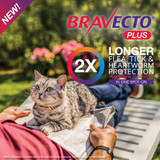 Bravecto Plus Cat 250mg 2.8-6.25kg - Blue (2 Pack)