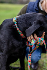 Anipal - Clancy the Black Cockatoo Leash