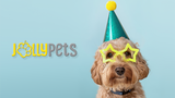 Welcome to Jolly Pets!