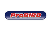 Probird