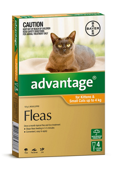 Advantage - Small Cat 0-4kg Orange - 4 Pack