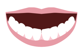 Bottom Teeth