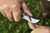 11511,felco 511 Pruning & Grafting Knife