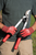 1121160,felco 211-60 Lopper Length 60 cm (23.6 in.) Curved Cutting Head