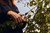 Felco 8 Elite One-hand pruning shear,118E