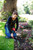 13712,Felco 712 Garden kneeler