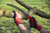 13701S,Felco 701S Workwear gloves of 13 gauge jppe knitted with nitrile coating, red and black, size s