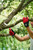 13704M,Felco 704M Cut resistant gloves size m