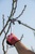 13701XL,Felco 701XL Workwear gloves of 13 gauge jppe knitted with nitrile coating, red and black, size xl