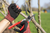 1113,Felco 13 One-hand pruning shear
