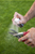 13981,Felco 981 Resin remover product spray voc free
