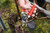 1115,Felco 15 One-hand pruning shear