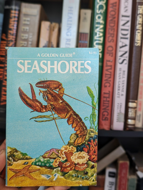 VINTAGE BOOK Golden Guide Seashores 1955