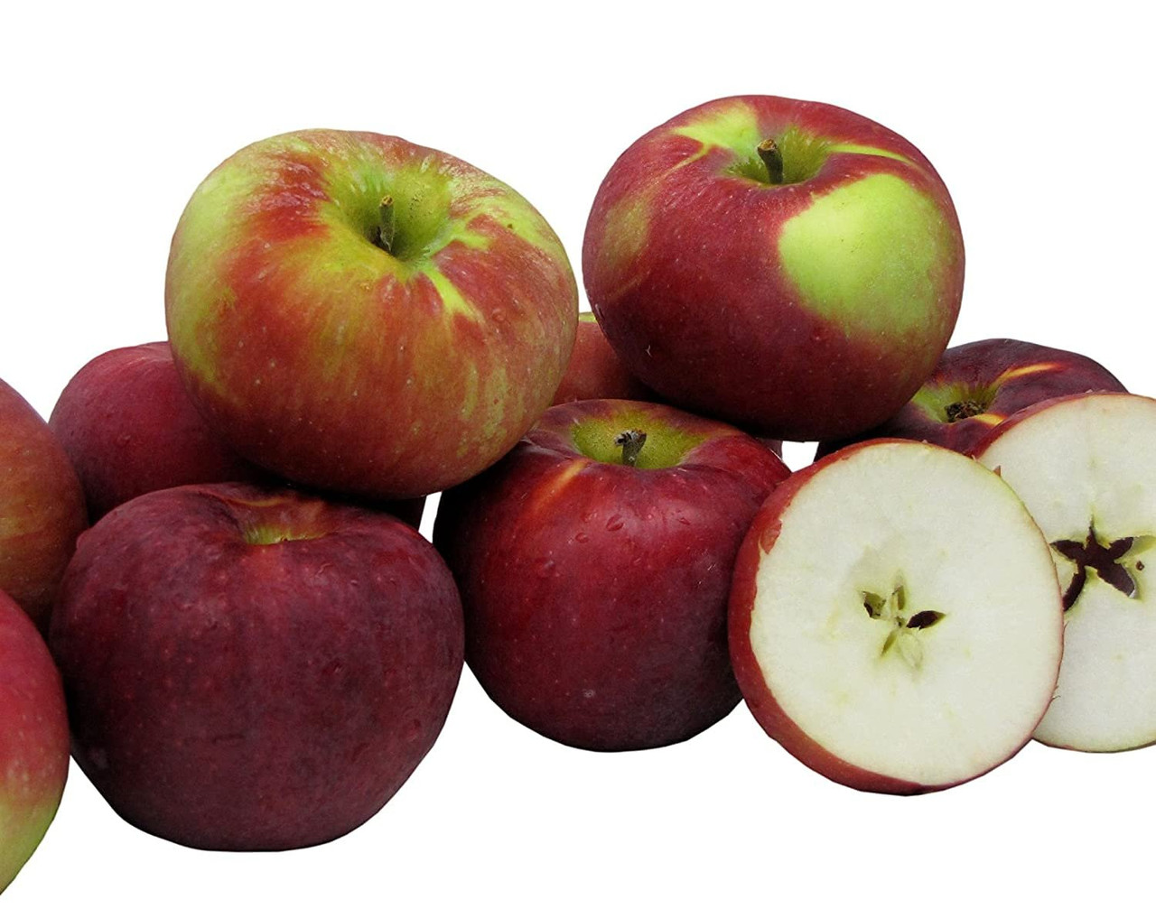 New York Cortland Apples - Landau's - Kosher Grocery Delivery in