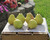 Kauffman Orchards Fresh Bartlett Pears, Hand-Picked in Lancaster County, Pennsylvania