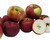 Kauffman Orchards Fresh-Picked Cortland Apples