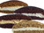 Fresh-Baked Whoopie Pies (Gobs) by Bird-In-Hand Bake Shop in Amish Country, Pennsylvania