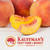 Kauffman Orchards Hand-Picked Early Cling-Stone Peaches, Grown in Lancaster County, Pennsylvania