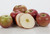 Kauffman Orchards Fresh-Picked McIntosh Apples