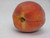 Kauffman Orchards Fresh-Picked, Sun-Ripened Peaches