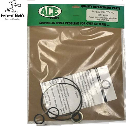 ACE Pump Hydraulic Repair Kit for Hydraulic Motors Only
