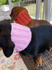 Dachshund Neck Warmer