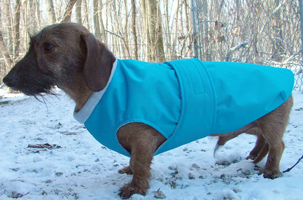 dachshund dog coats