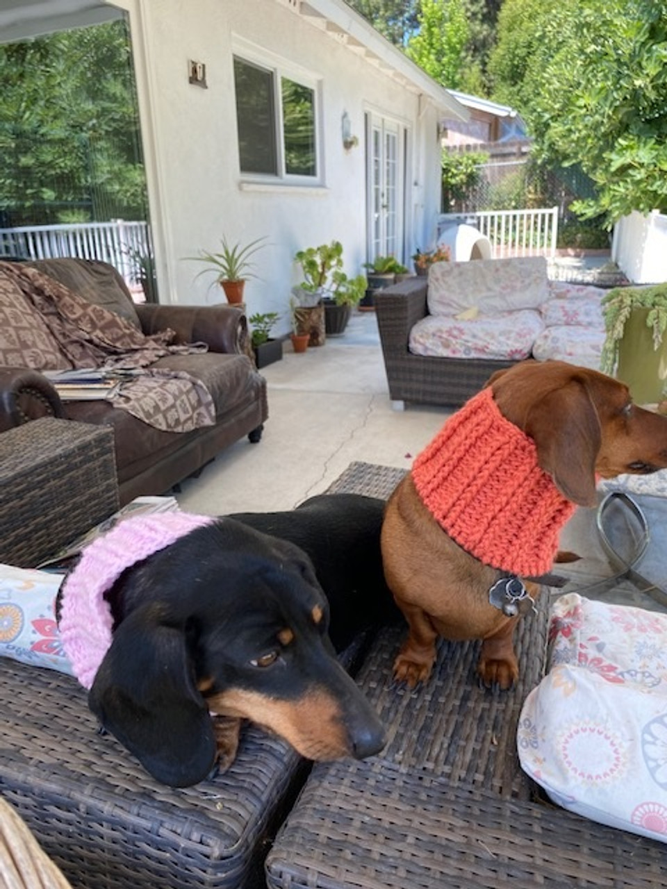 Dachshund Neck Warmer