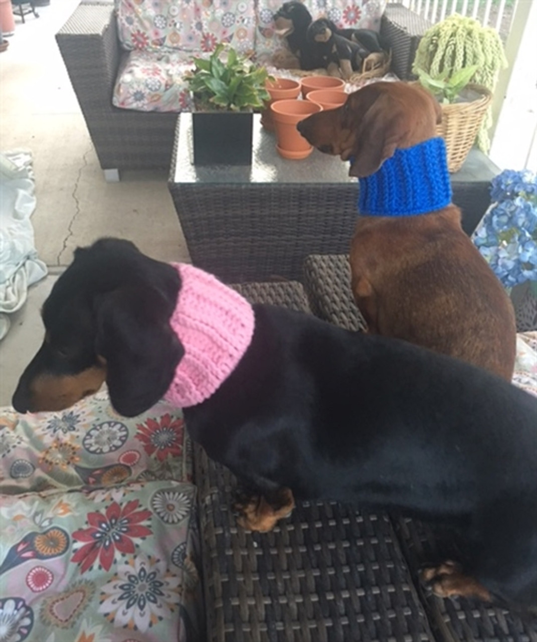 Dachshund Neck Warmer