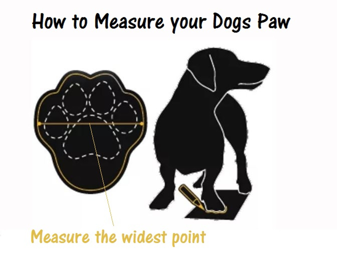 how are dog boots measured