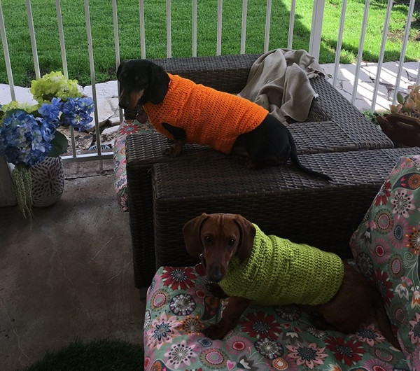 Dachshund Sweater, Custom Wiener Dog Sweater