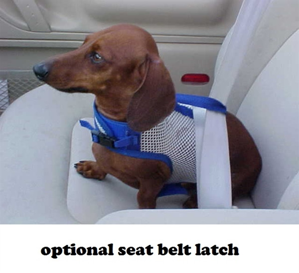 best harness for dachshund with back problems
